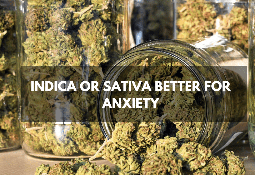 Indica or Sativa better for Anxiety