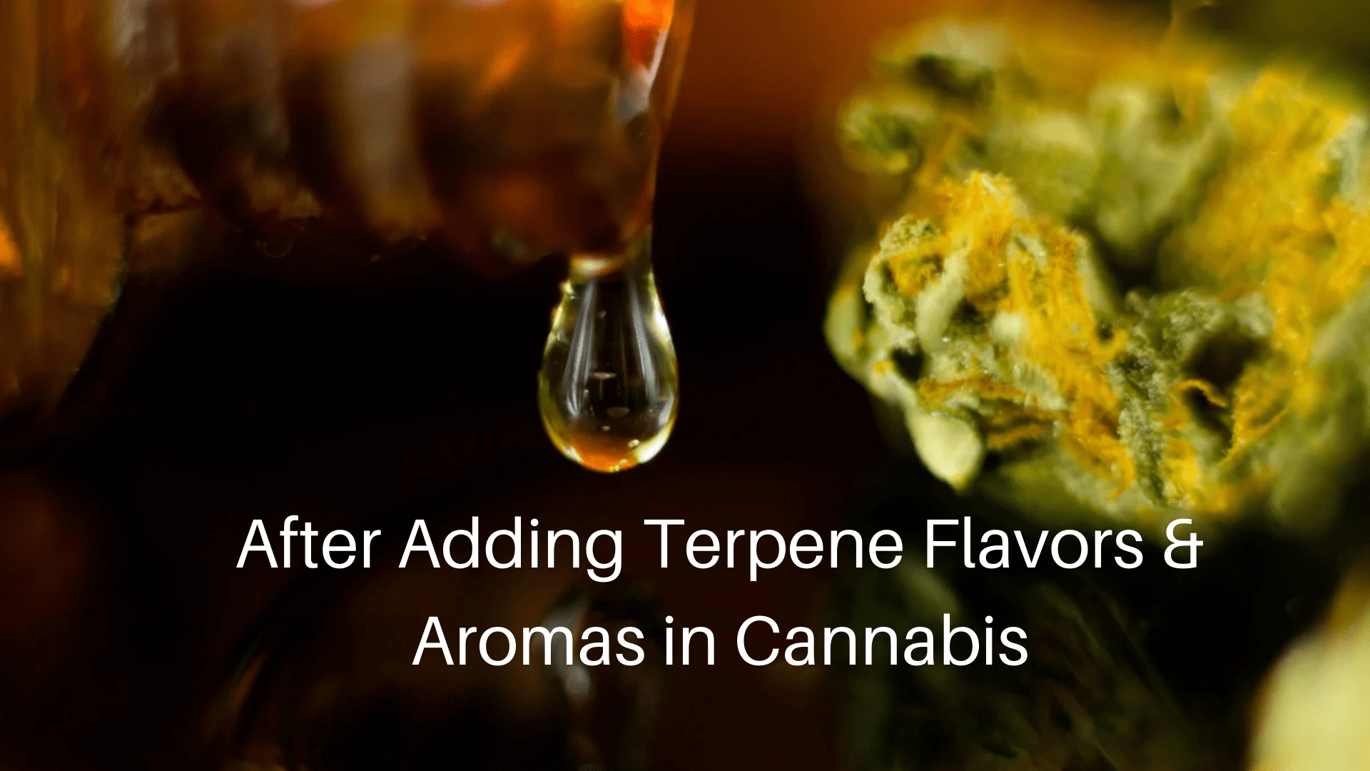 terpene flavors