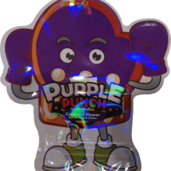 Purple punch 2