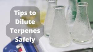 Optimized Dilute Terpenes Safely