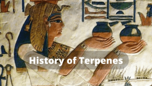 History of Terpenes
