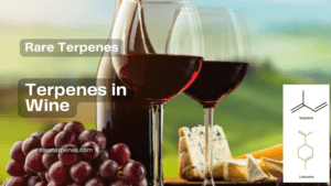 Terpenes in Wine