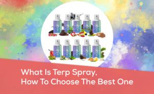 How_to_chose_terp_featured_image