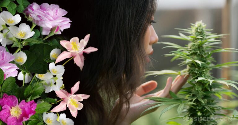Woman smelling cannabis strain with flower with flower decoration.