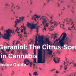 Explore Geraniol