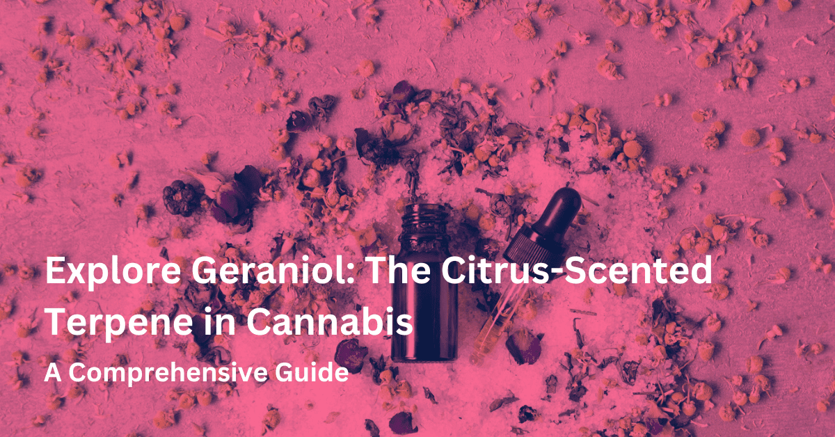 Explore Geraniol