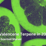 Explore Valencene Terpene