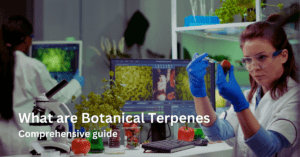 What are Botanical Terpenes: Benefits & Legality