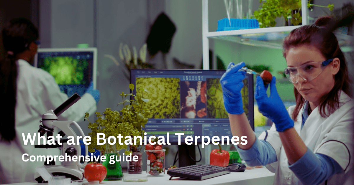 What are Botanical Terpenes: Benefits & Legality