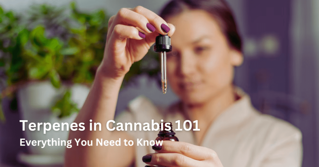 Terpenes in Cannabis: Everything You Need to Know 2024