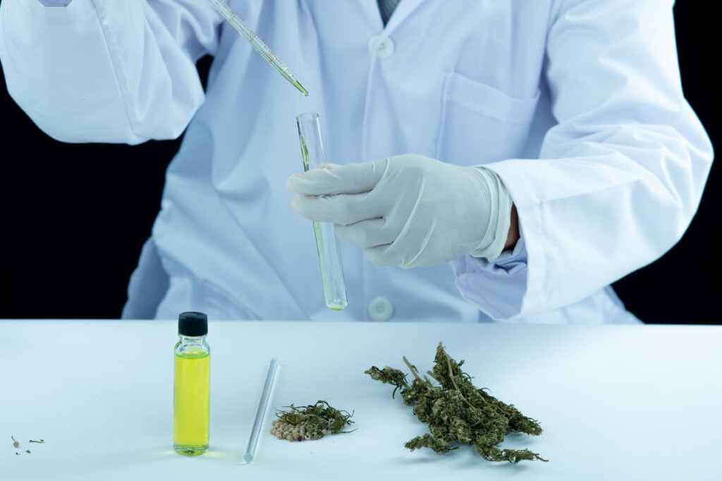Image of scientist extracting botanical terpenes from cannabis plants.
