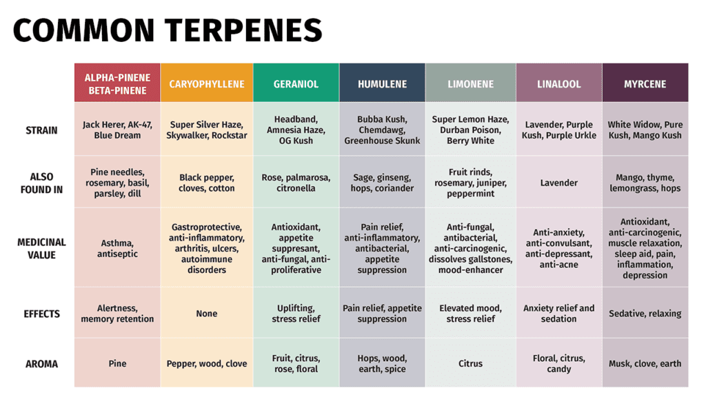 Table of common terpenes explaining the main characteristics and effects.