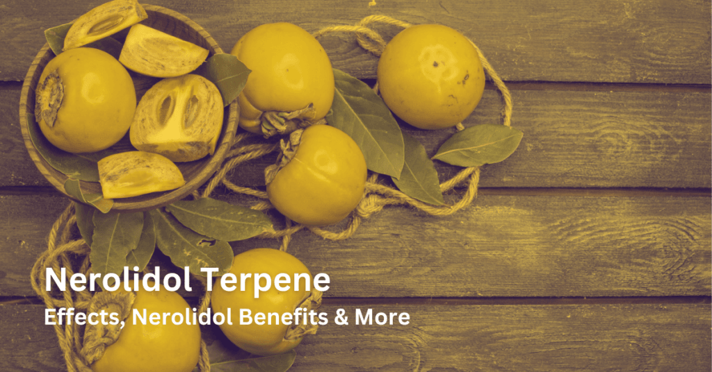 Nerolidol Terpene: Effects, Nerolidol Benefits & More