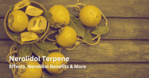 Nerolidol Terpene: Effects, Nerolidol Benefits & More