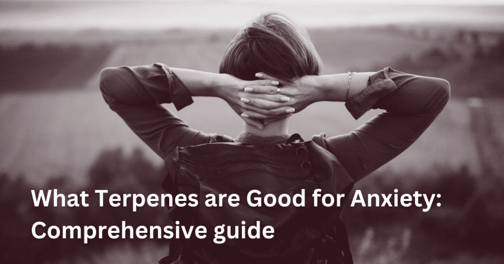 What Terpenes Are Good for Anxiety Comprehensive Guide