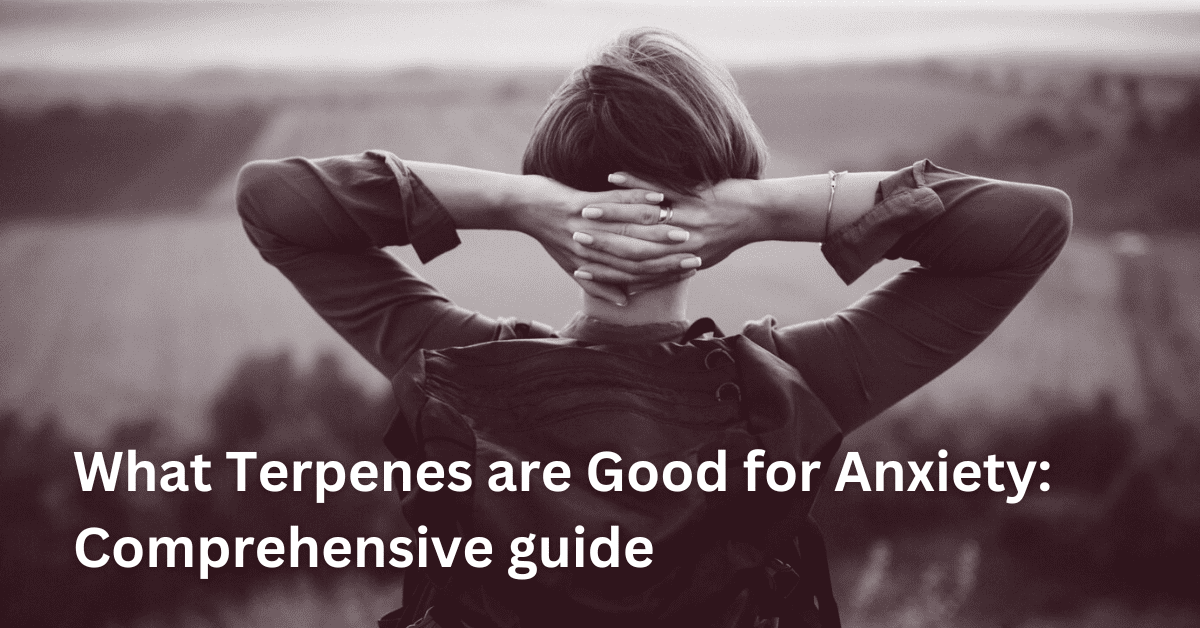 What Terpenes Are Good for Anxiety Comprehensive Guide