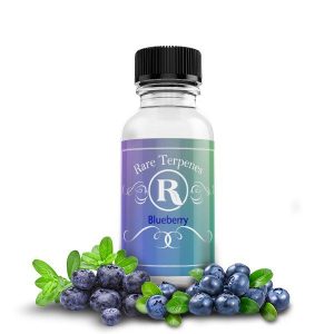 Blueberry mockup